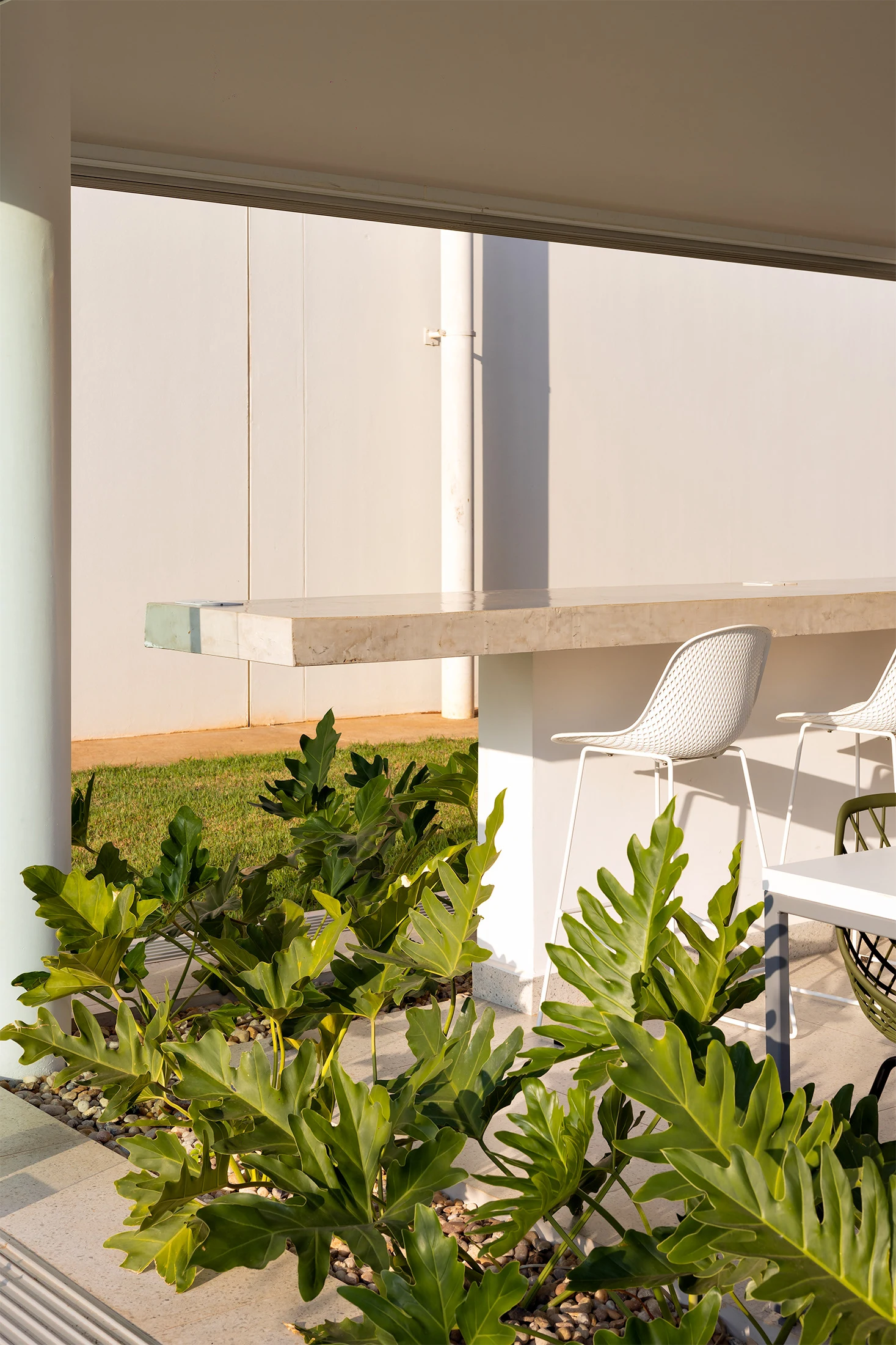 Verde no cotidiano — Denso Casual Food