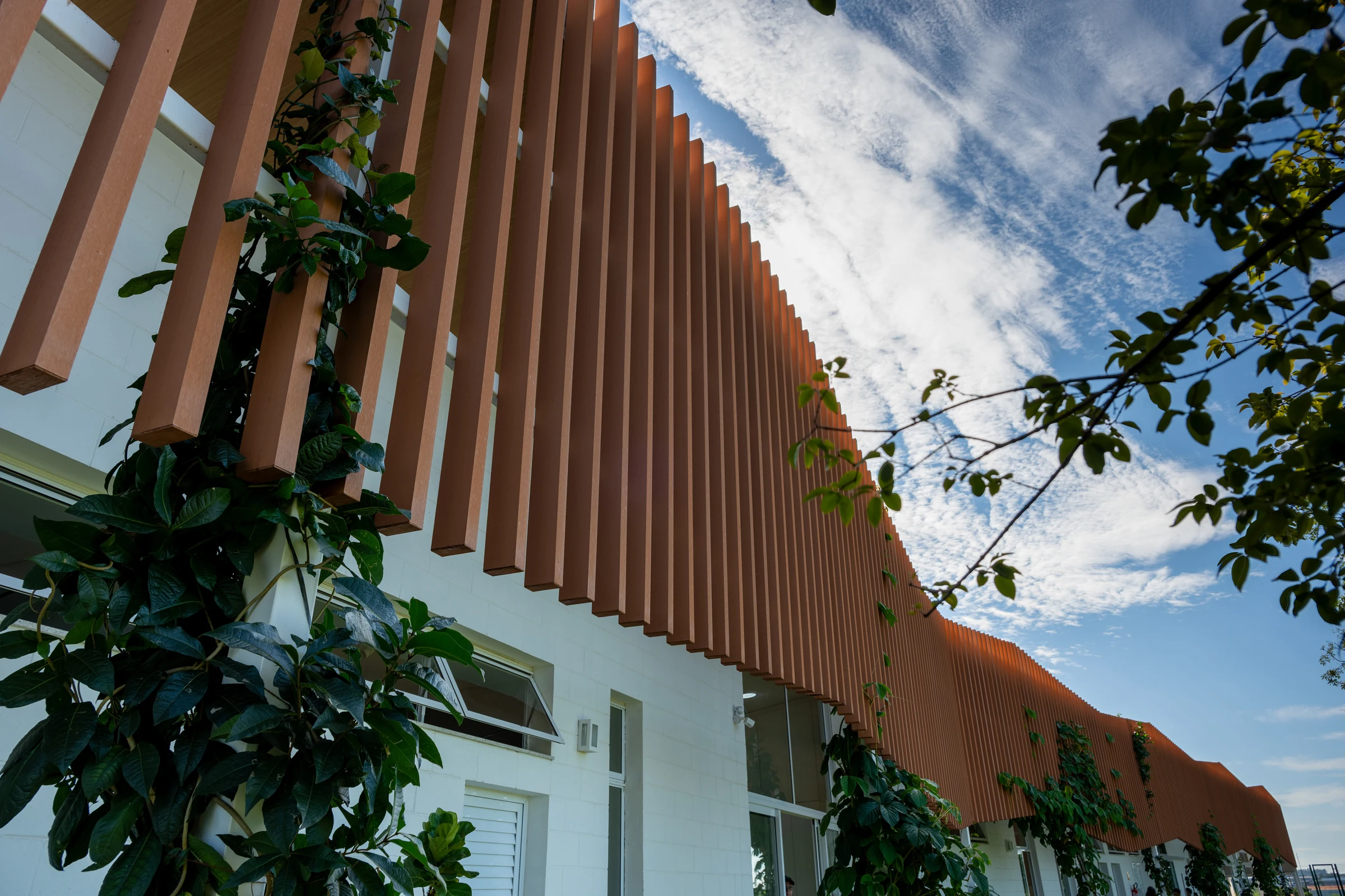 Brises e vegetação trepadeira — Eco Escola Jardim