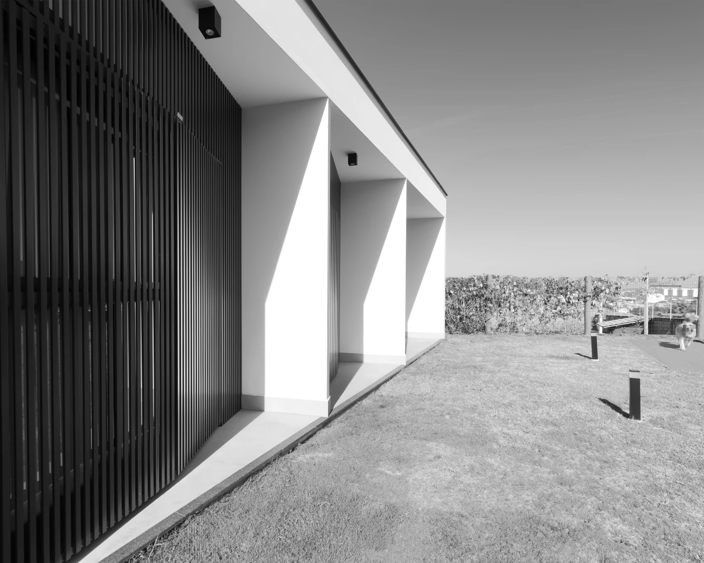 Casa Tangram — Ritmo de aberturas junto ao jardim